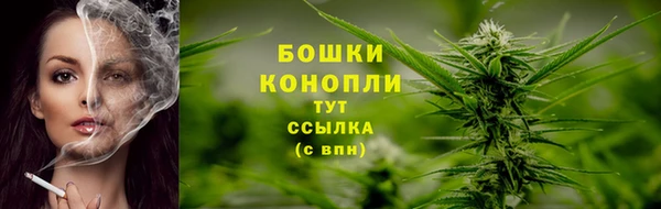 круглые Белокуриха